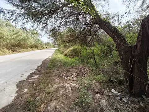 Camino de la Costa 100
