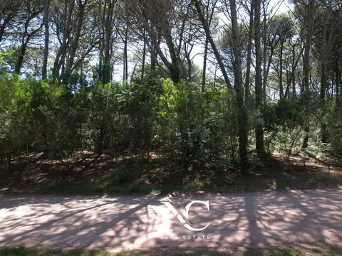 Terreno en Venta 34  mts Fondo