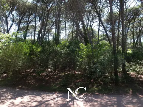 Terreno en Venta en Carilo, USD 110.000