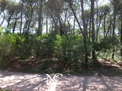 Terreno en Venta 34  mts Frente