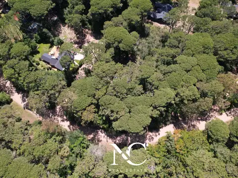 Constancia entre Caoba y Calden