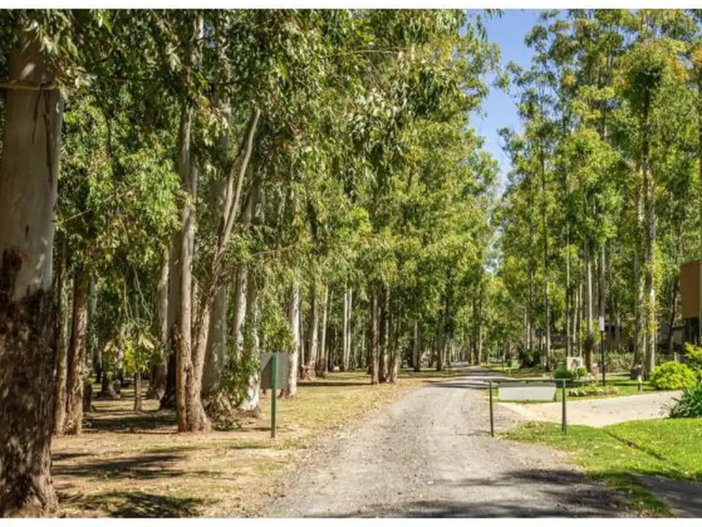 Lote en Puerto Paraíso. - Foto 48