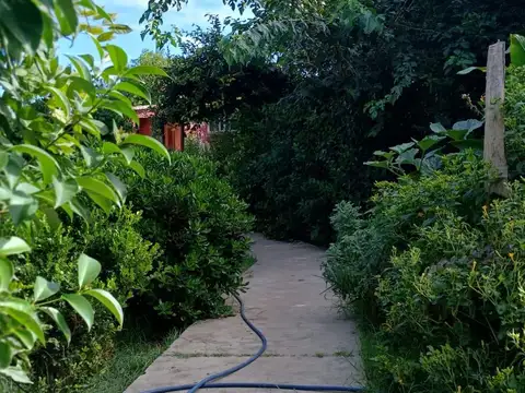 Terreno en Venta 14  mts Frente