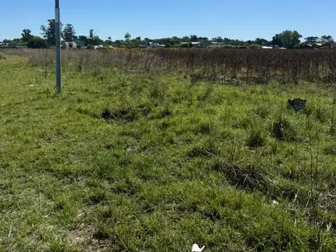 Quinta de cuatro manzanas 