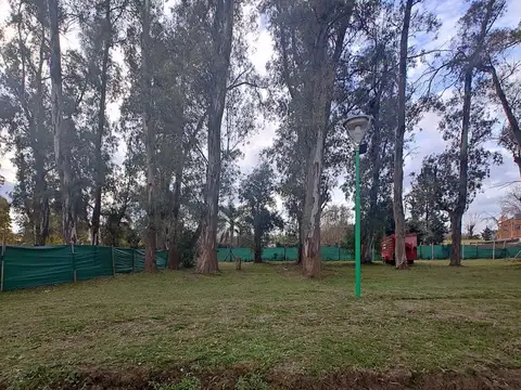 Lote en venta en barrio Alvarez del Bosque