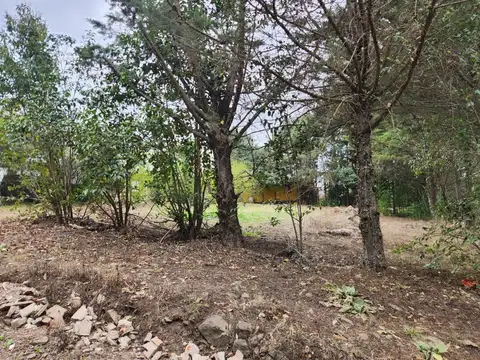 Terreno en Venta de 600,0 m2