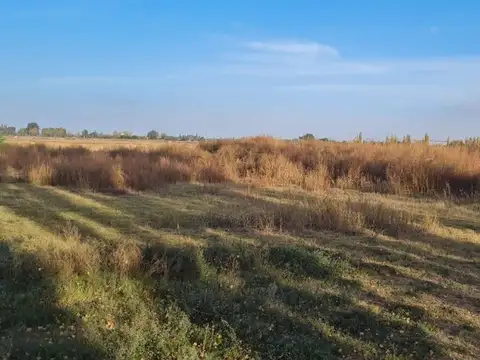 VENTA DE FINCA 69711 M2 EN JUNIN MENDOZA