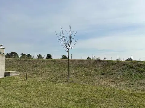 Terreno en Venta de 760,0 m2