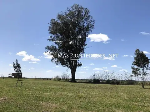 Venta Lote interno en Las Victorias Canning 100