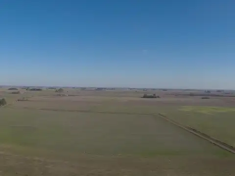 Campo Agricola de 62 hectareas 