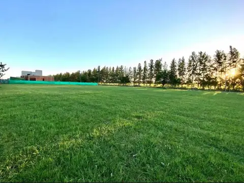 Barrio "matisse" - Lote 140