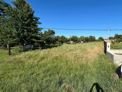 Avenida Lisandro de la Torre