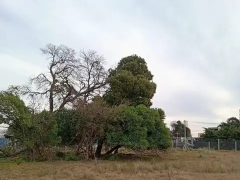 Terreno en Venta 34,64  mts Fondo