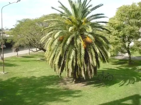 Belgrano 1850 , Piso 1