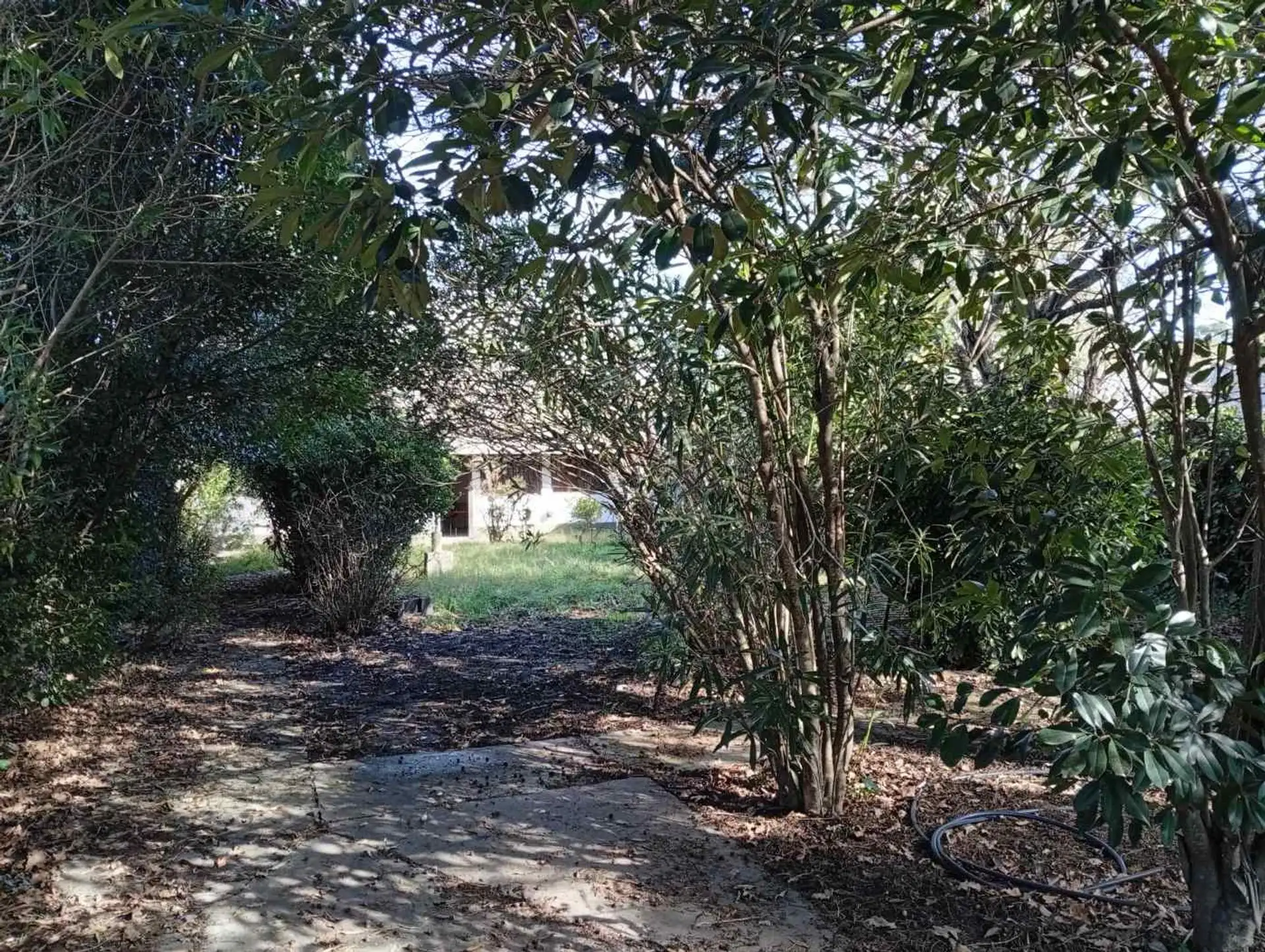 VENTA CASA 3 AMB GRAN PARQUE PARRILLA ACANTILADOS