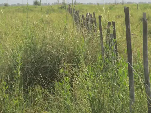 Campo en venta en La Primavera