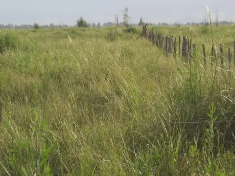 Campo en Venta de 83  ha