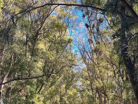 Bernardino Rivadavia km14.5