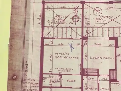 Martina Céspedes 1600