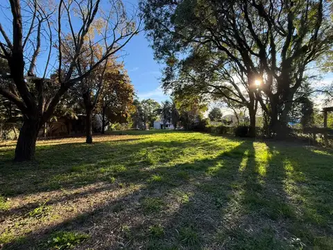 Terreno en Venta 41  mts Fondo