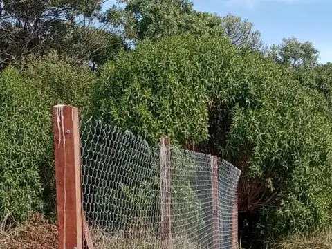 Terreno en Venta de 231,0 m2