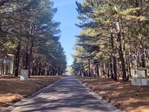 Ruta Provincial 192