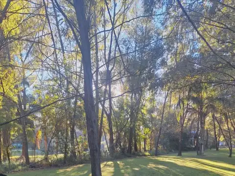 Lote, San Fernando