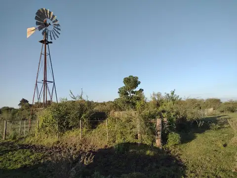 Campo en Venta de 113  ha