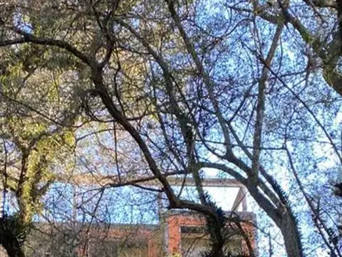 John F. Kennedy al 800