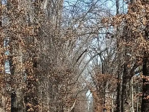 Terreno en Venta en Los Robles del Monarca, USD 59.000