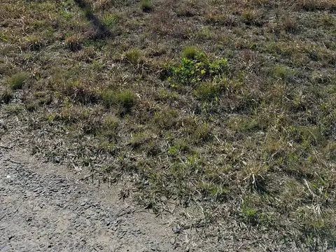 Terreno en Venta de 450,0 m2