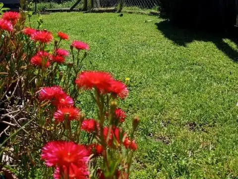 Depto Tipo Casa en Alquiler de Monoambiente