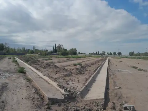 CALLE PUBLICA