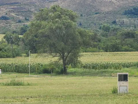 Ruta Provincial 9 100