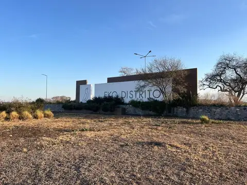 Eko Distrito 100