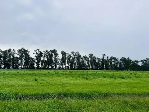 VENTA DE TERRENO EN CHACRAS DE SAN PABLO, MONTE