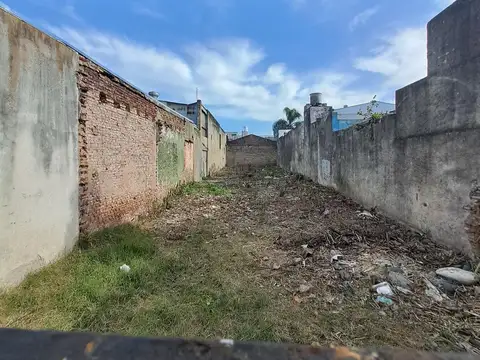 Alicia Moreau de Justo al 1500