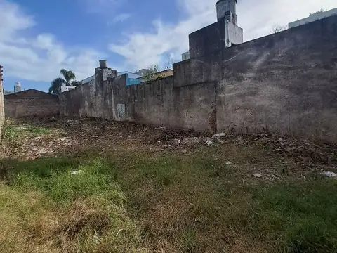 Alicia Moreau de Justo al 1500