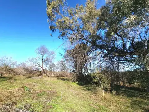 VENTA LOTE BENAVIDEZ 