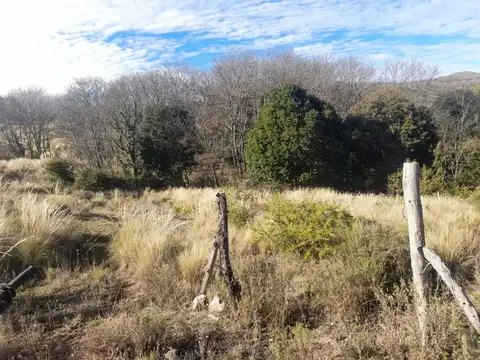 EL ROSARI (1448) - DOLORES SAN ESTEBAN - PUNILLA 100