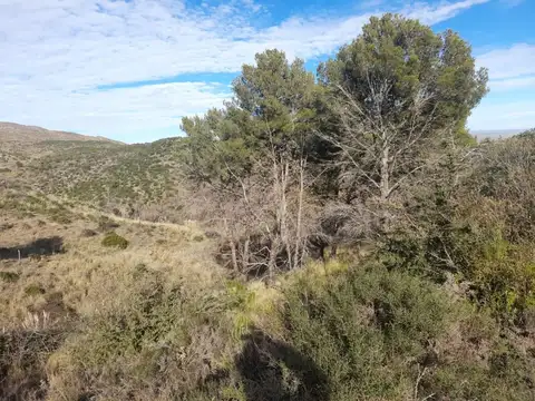 EL ROSARI (1448) - DOLORES SAN ESTEBAN - PUNILLA 100