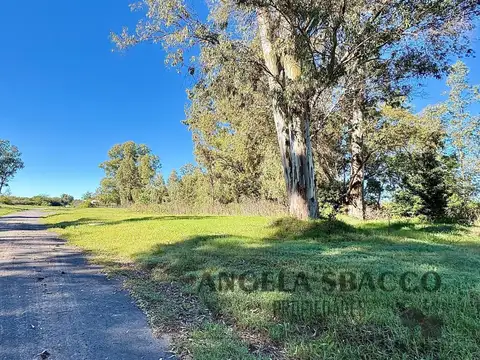 Terreno en Venta 45  mts Fondo