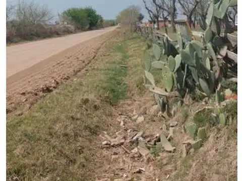 Blas Parera y Sarmiento