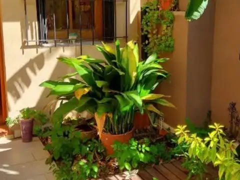 PH en venta en Colegiales