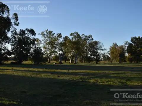 Chacra en venta 39 has Florencio Varela