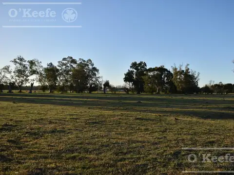 Chacra en venta 39 has Florencio Varela - Ideal Desarollo