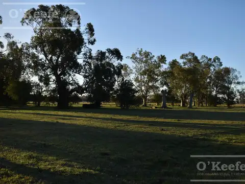 Chacra en venta 39 has Florencio Varela - Ideal Desarollo