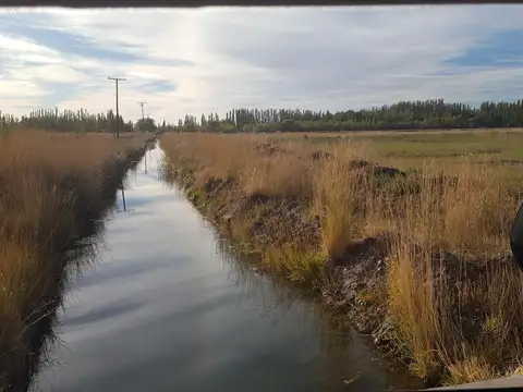 Excelente campo productivo, agricola y ganadero, excelentes instalaciones.