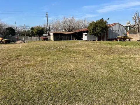 520 bis e 11 y 12