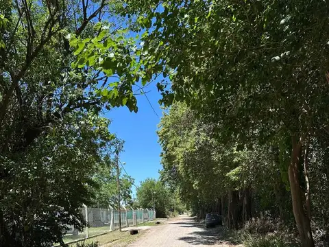 Agustín Paolucci 1200